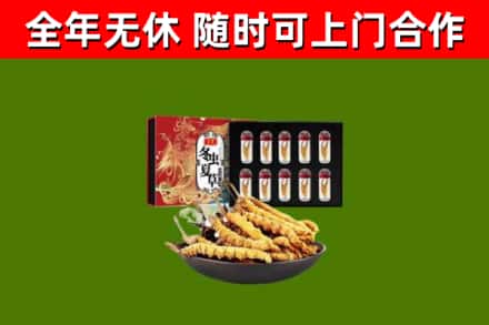 海南烟酒回收冬虫夏草礼盒.jpg